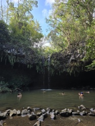 8bdb94e8-4c25-4435-bbe8-f13edc555404