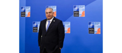 Orban: NATO nie ma żadnych interesów w Ukrainie