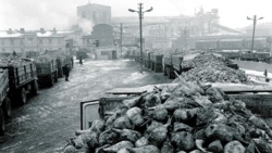 Kampania buraczana, czyli lubelski obrazek jesieni