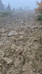 0529a4c3-21e5-48f3-8a39-370d3cc62e33