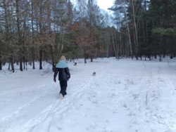 2382beed-b230-42b7-85e2-e9ded26e683f