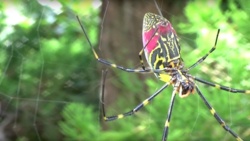 68bf8383-4ca0-4a6f-8e76-52b21be587da