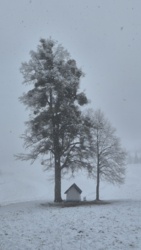 a9926cba-8424-4496-ab7e-63b7167aa423