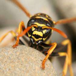 93b0137f-36e3-4e77-9568-f88eb6b3fdea