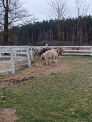 577ed767-fee5-4f40-9089-f9cfc2791076