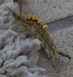 9db481e1-ac31-4f7e-89dc-7909ed0cc45a