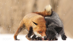 02e1ebd9-70bb-4815-826f-20abc8bfa431