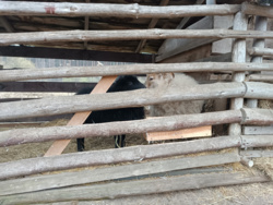 32211f43-9419-48f0-b16a-c4d64c97fd70