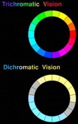 b2217f80-1cce-4d62-9fa2-8a1990e7040a