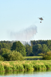 98887a17-d010-41b0-9afe-96db0eef0d33