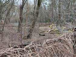 ab8acdb3-879d-41f5-95ed-26df2439c6ae