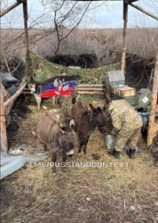 50297430-d869-4f6d-b4cd-66468b49e6b8