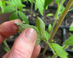 5d2b0c9f-105a-4b69-9170-61a5054c602d