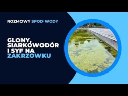 Rozmowy Spod Wody: Syf, smród, glony i siarkowodór na Zakrzówku! - Artur Sobesto, Marcin Jastrzębski