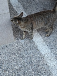 c0cbdbbd-a8af-4eaa-88bf-8be2765f9a29