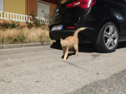 e40bb261-da98-43a9-927f-5f06288c3759