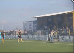 29ba023c-742f-4607-87b1-a2fe94955529