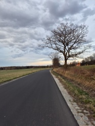 20798626-07b5-4ebf-ab45-51e208dfd71e