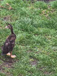 9befeb74-e9b1-4c9b-b7eb-db2178444f2c