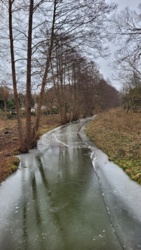 25aaecc4-9b4b-4d77-9114-08607418ea2a