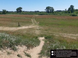 8afcb954-7eaa-4108-901b-b89bef20b48b