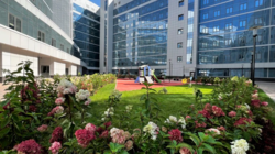 8e09fa7b-e570-4a35-b4e3-b912a147405c