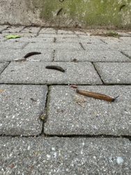 fa0bd326-8d92-4df5-8645-5ce07dbb84bc