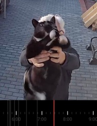 7e9312c7-4a5f-4138-a723-15ed36ddc80c