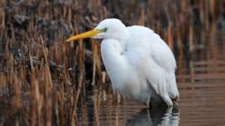 b35aed2f-473f-491a-a2cb-92069817a4ef