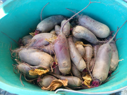 0f24db62-940b-431c-a7d3-35a5110e46ce