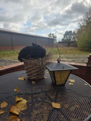 4c701080-6cf0-4200-aed0-efea1eaaa50c