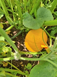 38635a36-dee1-42e4-b73c-c627bb7c4ec0