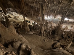 5dd58205-2612-4e78-9bd2-84923f99261a