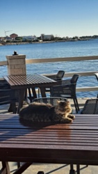 31d7fb39-608e-4664-9a9e-33950263ec61