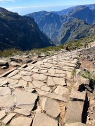 de8932db-b7e6-4229-a13b-dc87d3240ab5