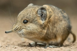 ff1fbe4a-c7bb-4a33-9347-d8fb854aa01a