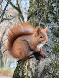 b89767bc-c8f0-4f92-a10f-01de3508b701