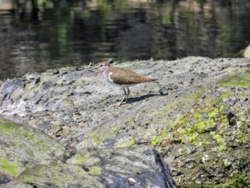 bac45438-a928-47e9-9c0c-deb1f8ca7863