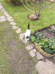 fd827ed8-e684-4af3-9eb8-b418fbfc8732