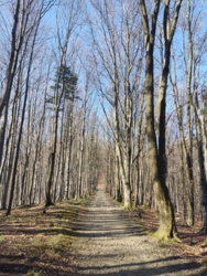 b61fdd25-aa3d-4faa-b64d-b44f746a086b