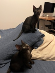 e49a6f9e-c826-4a34-a18d-a4c527ea390f