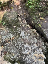 a660ca9f-be3f-4f85-ab64-44ba81510216