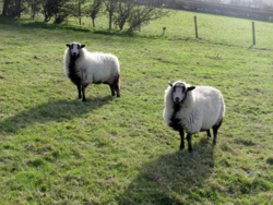 e7fd6449-0ea7-4cde-8903-09911e610c63