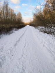 f8163b0a-840b-474a-b40c-481f6f8bcd2c