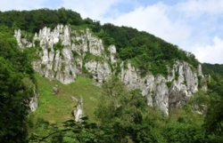 W Ojcowskim Parku Narodowym powstanie Dom Nietoperza