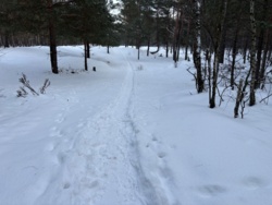 ddcae75f-587d-453b-aab3-47abebba17a4