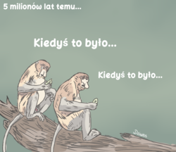 860bbd32-a768-46af-90bb-b76af4223009