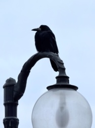 3285f213-09e5-4986-9971-e1952f6602db