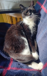 bcfda3f9-c331-4607-aed5-6760e8c3134d