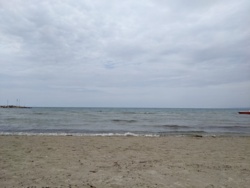 207a31a7-276b-4aef-b395-a0a4434a5073